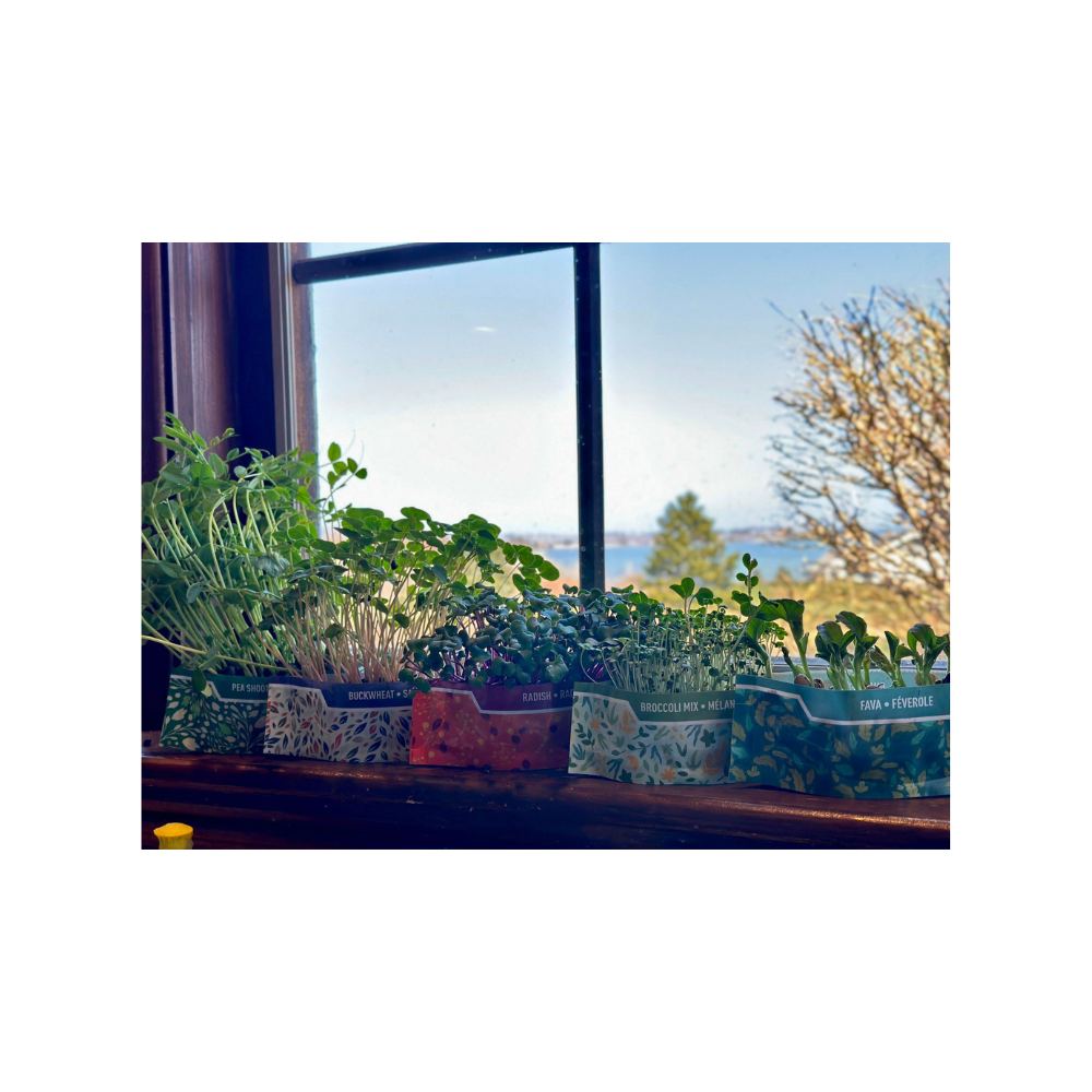 Bramble Hill Farm Micro Garden Kit